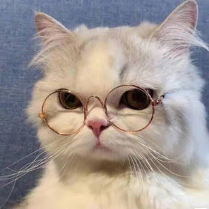 Meet your Posher, Jerome